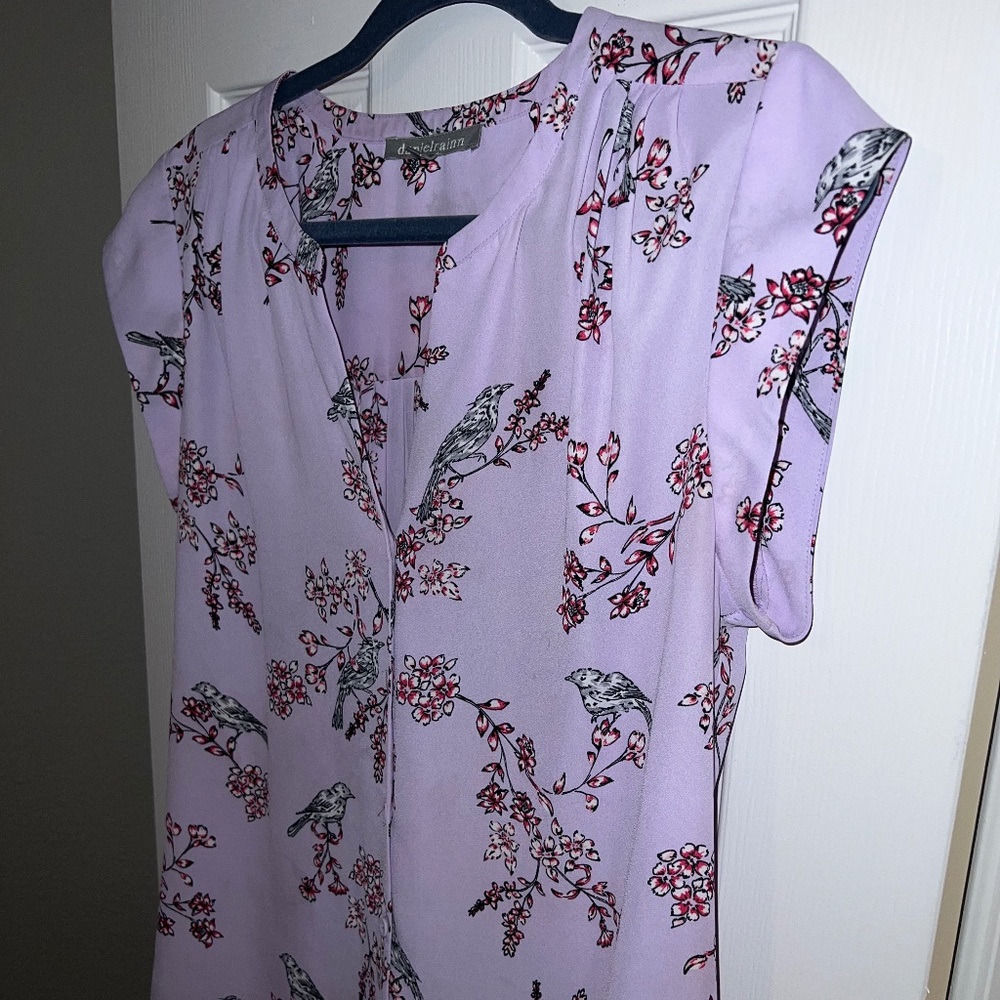 Daniel rainn blouse